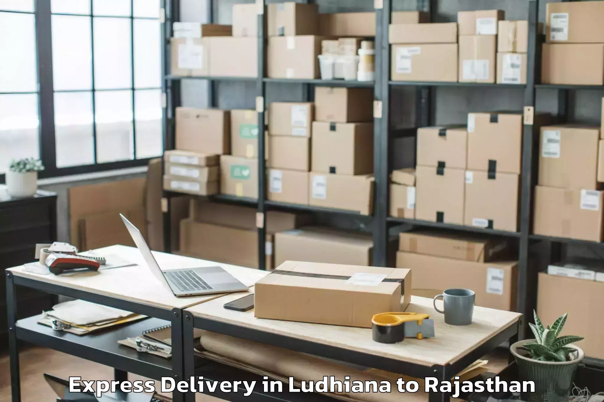 Easy Ludhiana to Nims University Jaipur Express Delivery Booking